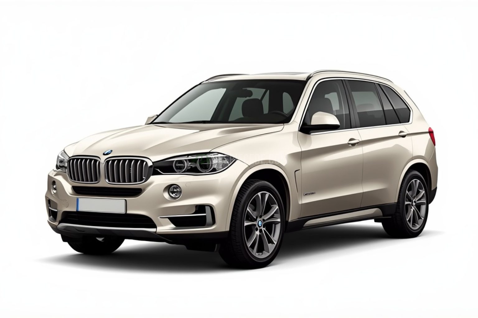 Despiece Bmw X5 (E70) 3.0d (235 cv) DPF 2007 beige