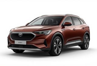 Despiece BYD DOLPHIN EV 2023 marron