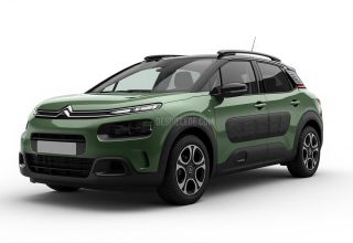 Despiece Citroen C8 (Fase I) 2.0 HDi 16V (136 cv) FAP 2006 verde