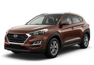 Despiece Hyundai Tucson 2.0 i 16V (140 cv) 2006 marron