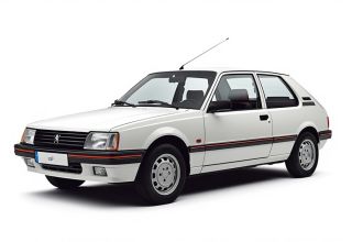 Despiece Peugeot 305 II (581M) 1.5 (73 cv) 2017 blanco