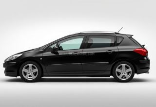Despiece Peugeot 307 2.0 (137 cv) 2007 negro