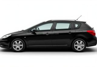 Despiece Peugeot 407 2.0 HDi (136 cv) 2008 negro