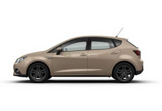 Despiece Seat Ibiza IV 1.9 TDI (90cv) 2009 beige